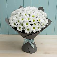 Букет цветов из:  Хризантемы #REPLACE_PRED# Прочноокопской