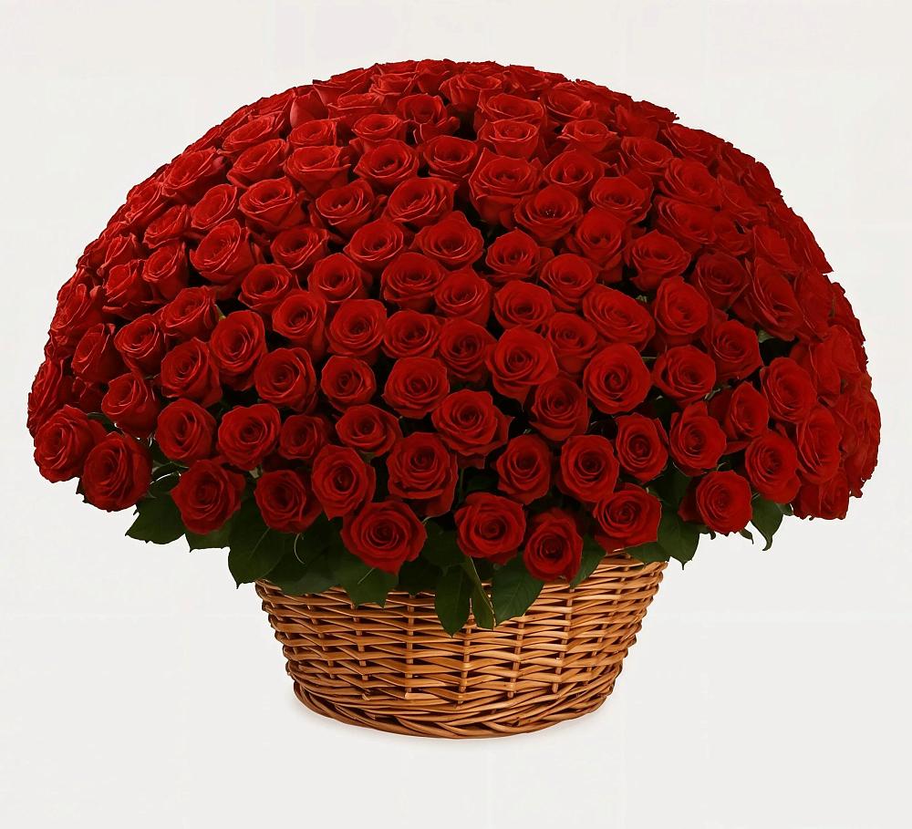 Премиум букет из: Розы в Прочноокопской