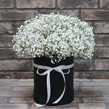 Цветочная композиция из Гипсофила в шляпной коробке в Прочноокопской