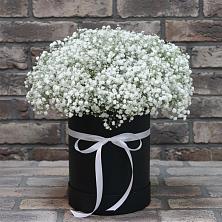 Цветочная композиция из Гипсофила в шляпной коробке в Прочноокопской