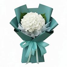 Букет цветов из:  Гортензия в Прочноокопской